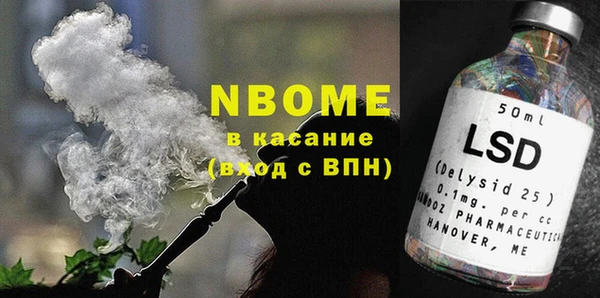 сатива Каменка